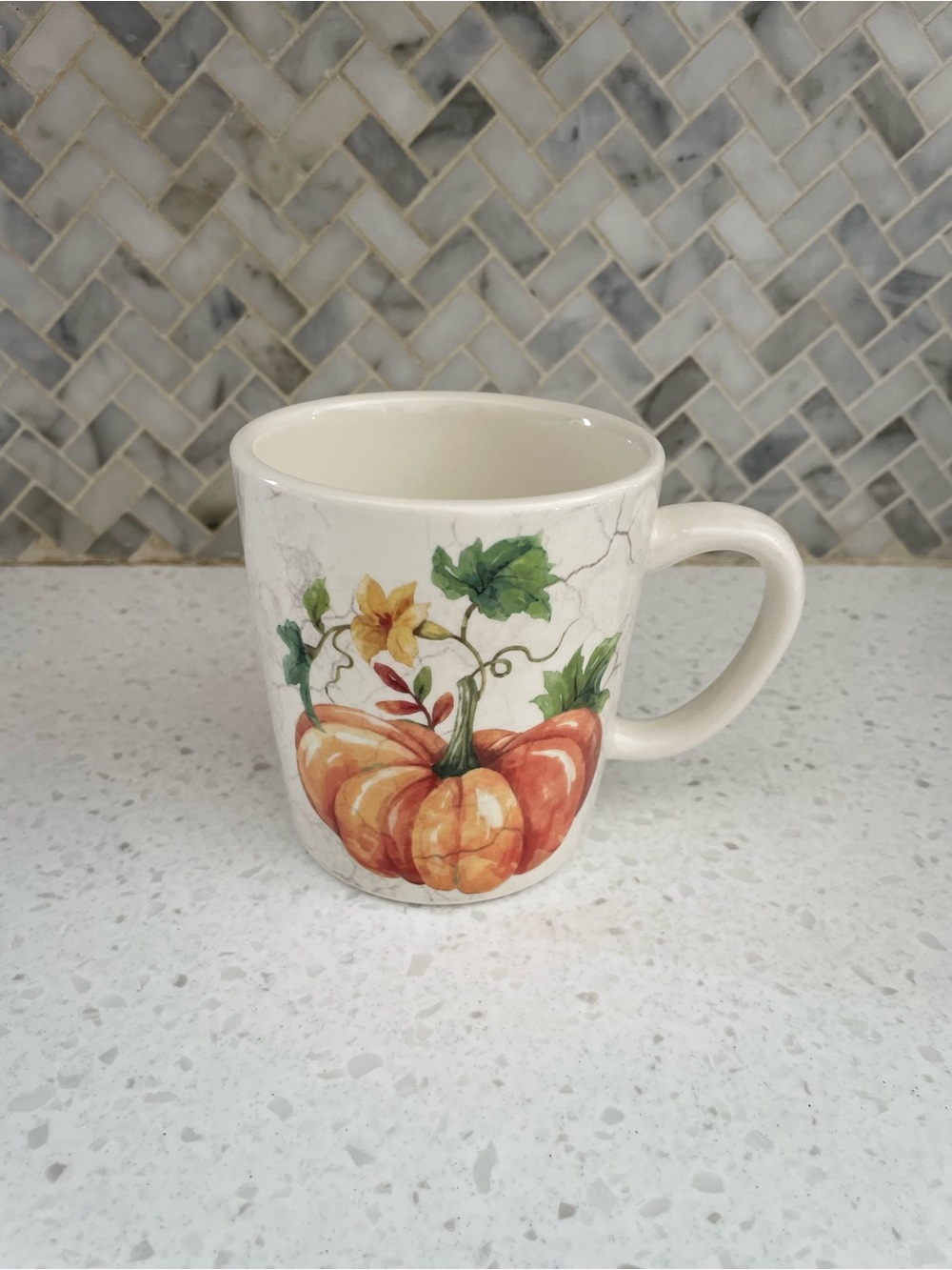 Cost Plus World Market Fall Autumn Pumpkin Ceramic Mug